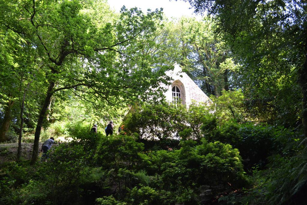 Le Gite De L'Araucaria Ploerdut Exterior photo
